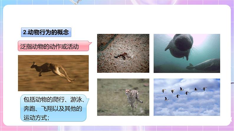 【新课标】冀少版生物八上4.2.1《动物行为的特点》课件+教案+学案07