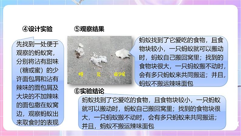 【新课标】冀少版生物八上4.2.2《动物行为的类型》课件+教案+学案05