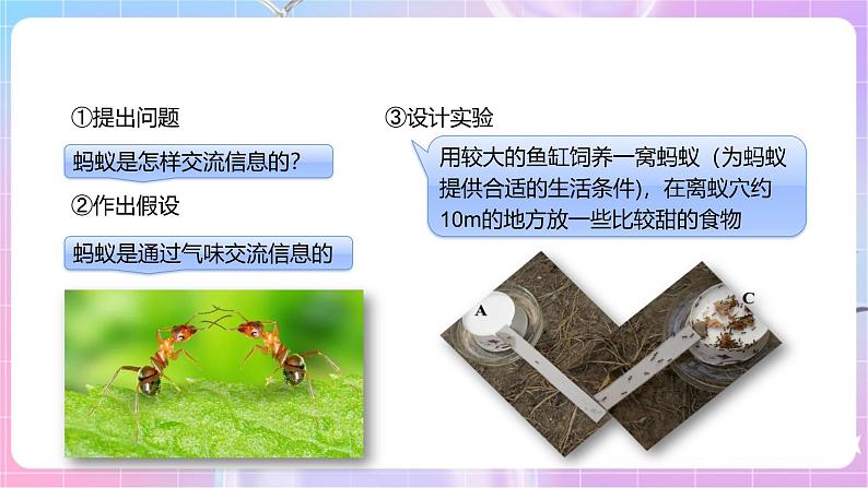 【新课标】冀少版生物八上4.2.2《动物行为的类型》课件+教案+学案07