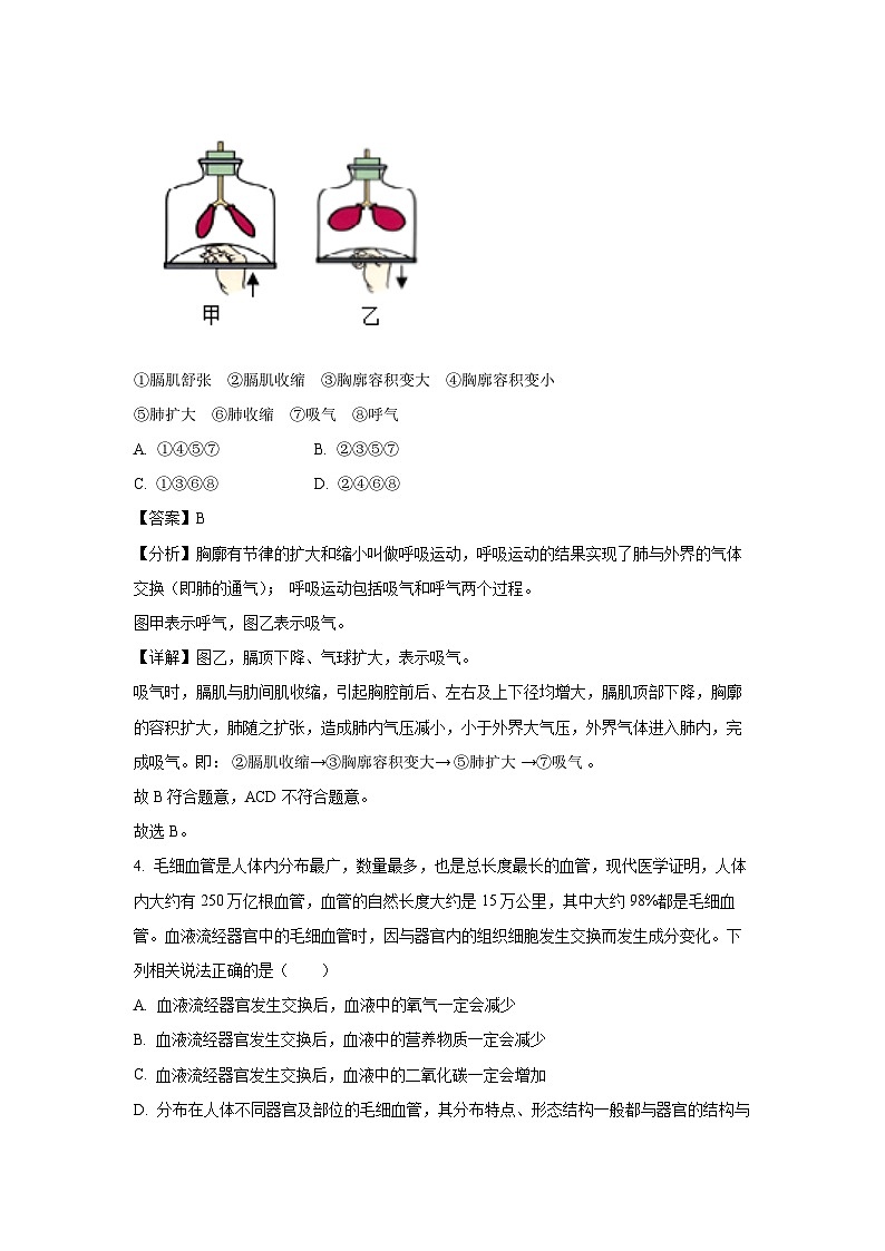 [生物][期中]内蒙古呼和浩特市新城区2023-2024学年七年级下学期期中试题(解析版)03