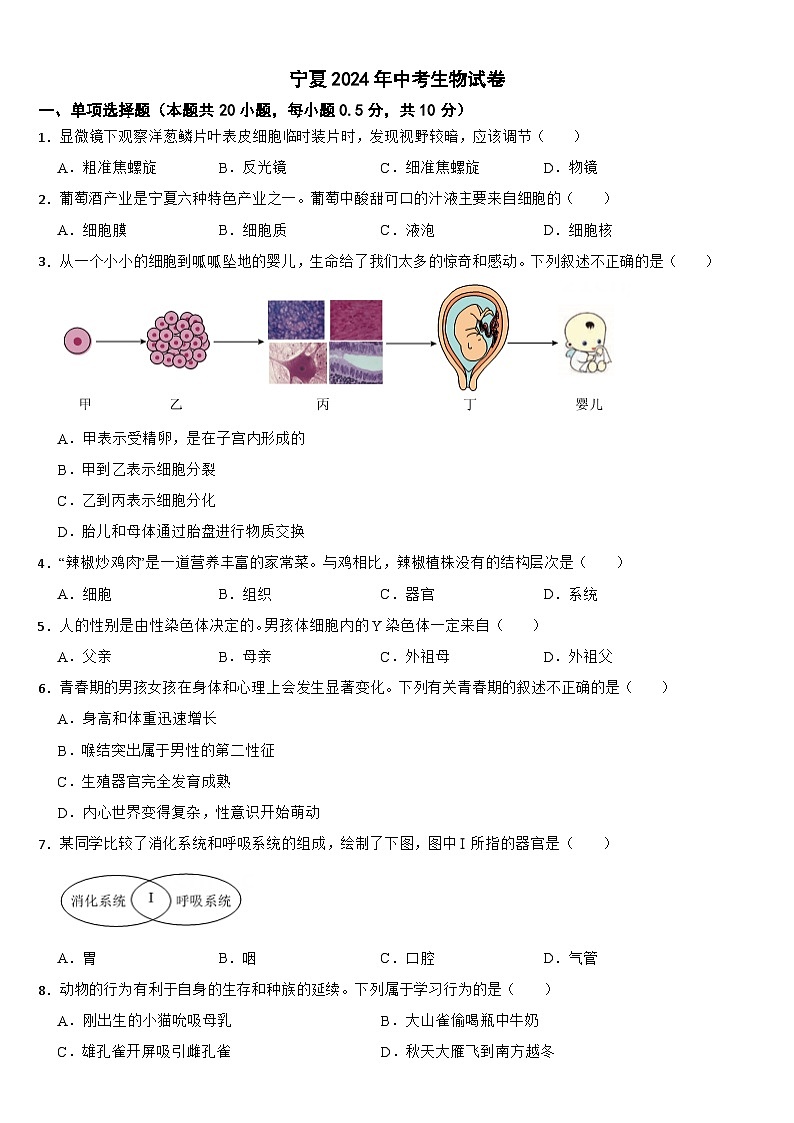 宁夏2024年中考生物试卷【附真题答案】01