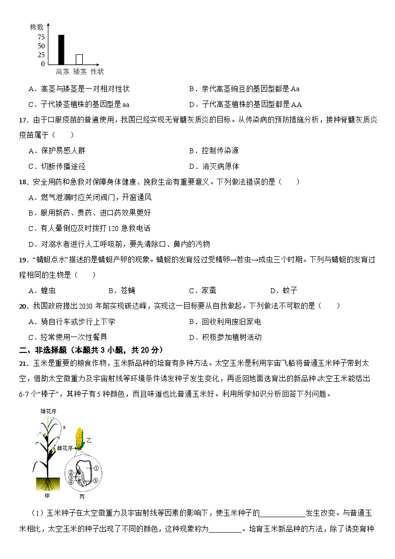 宁夏2024年中考生物试卷【附真题答案】03