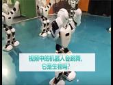 第二章第二节《生物的特征》生物课件（人教版2024）