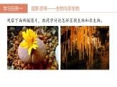 第二章第二节《生物的特征》生物课件（人教版2024）