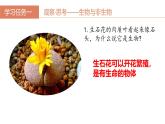 第二章第二节《生物的特征》生物课件（人教版2024）
