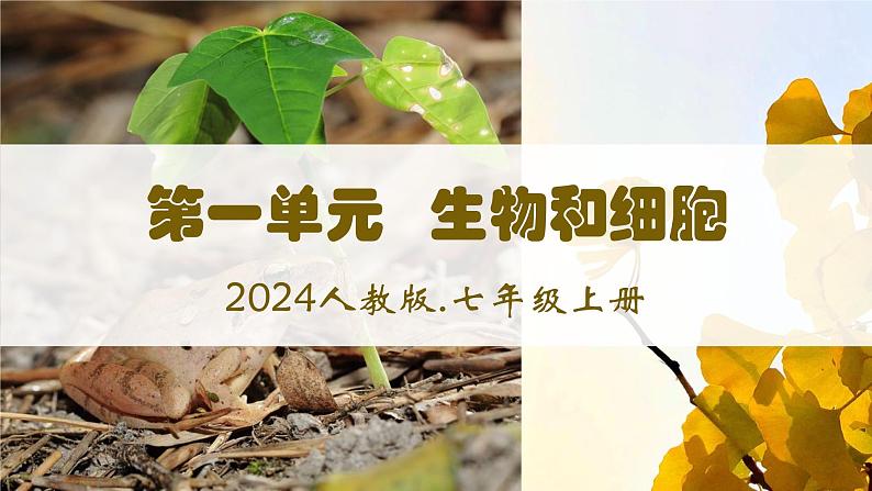 第一章第一节《观察周边环境中的生物》生物课件（人教版2024）第2页