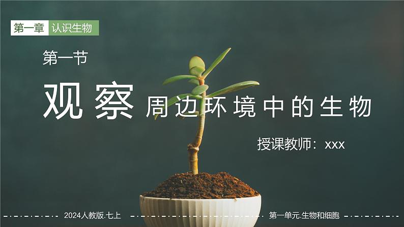 第一章第一节《观察周边环境中的生物》生物课件（人教版2024）第3页