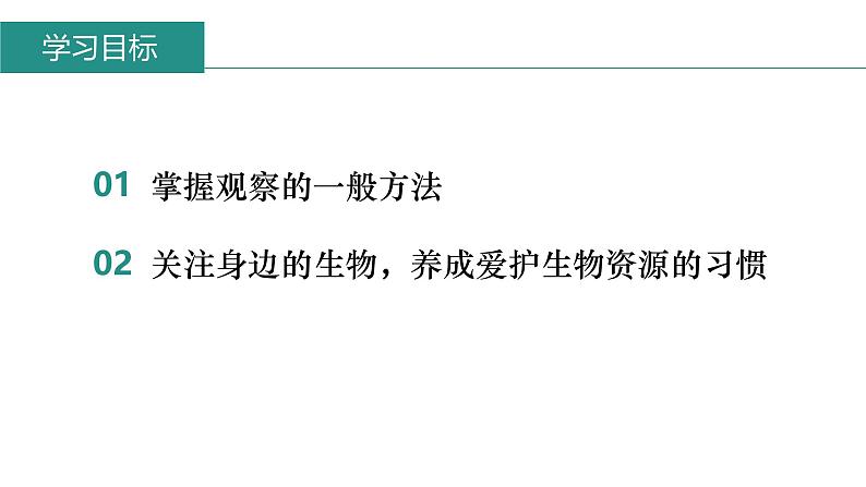 第一章第一节《观察周边环境中的生物》生物课件（人教版2024）第4页