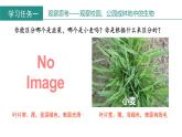 第一章第一节《观察周边环境中的生物》生物课件（人教版2024）