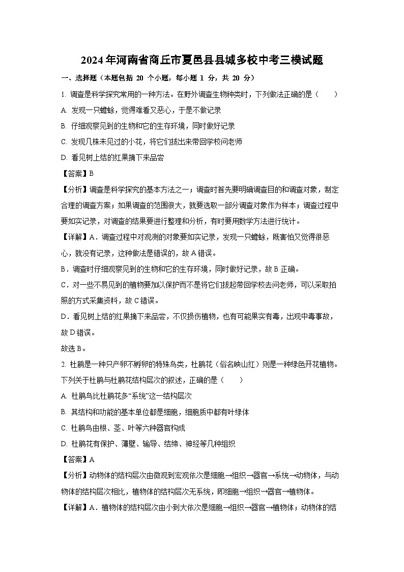 [生物][三模]2024年河南省商丘市夏邑县县城多校中考试题(解析版)第1页