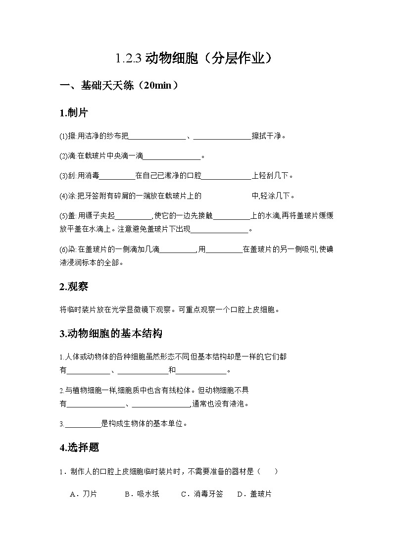 人教版（2024）初中生物学七年级上册1.2.3《动物细胞》课件＋教案+学案+分层练习01