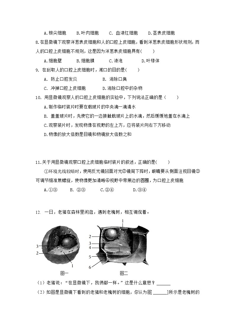 人教版（2024）初中生物学七年级上册1.2.3《动物细胞》课件＋教案+学案+分层练习03