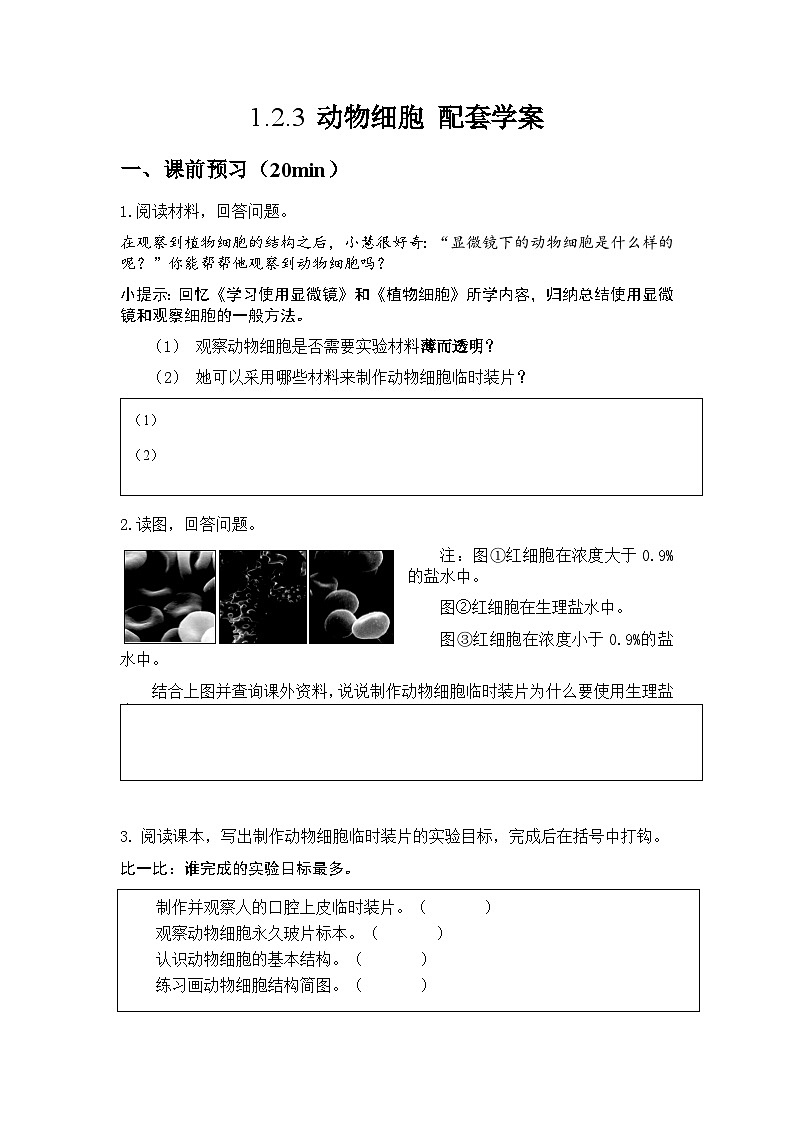 人教版（2024）初中生物学七年级上册1.2.3《动物细胞》课件＋教案+学案+分层练习01
