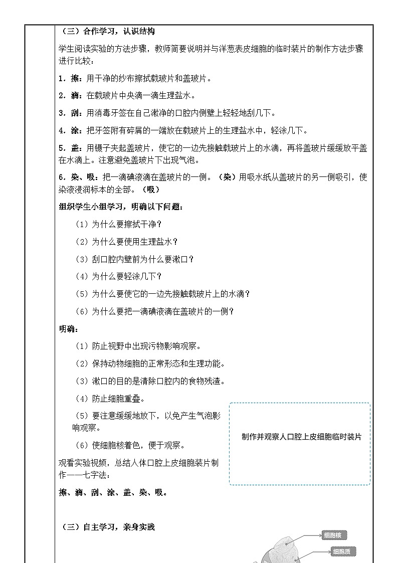 人教版（2024）初中生物学七年级上册1.2.3《动物细胞》课件＋教案+学案+分层练习02