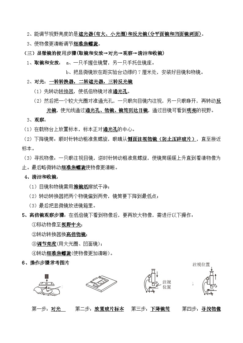 人教版（2024新版）七年级上册生物期末复习考点背诵提纲 讲义02