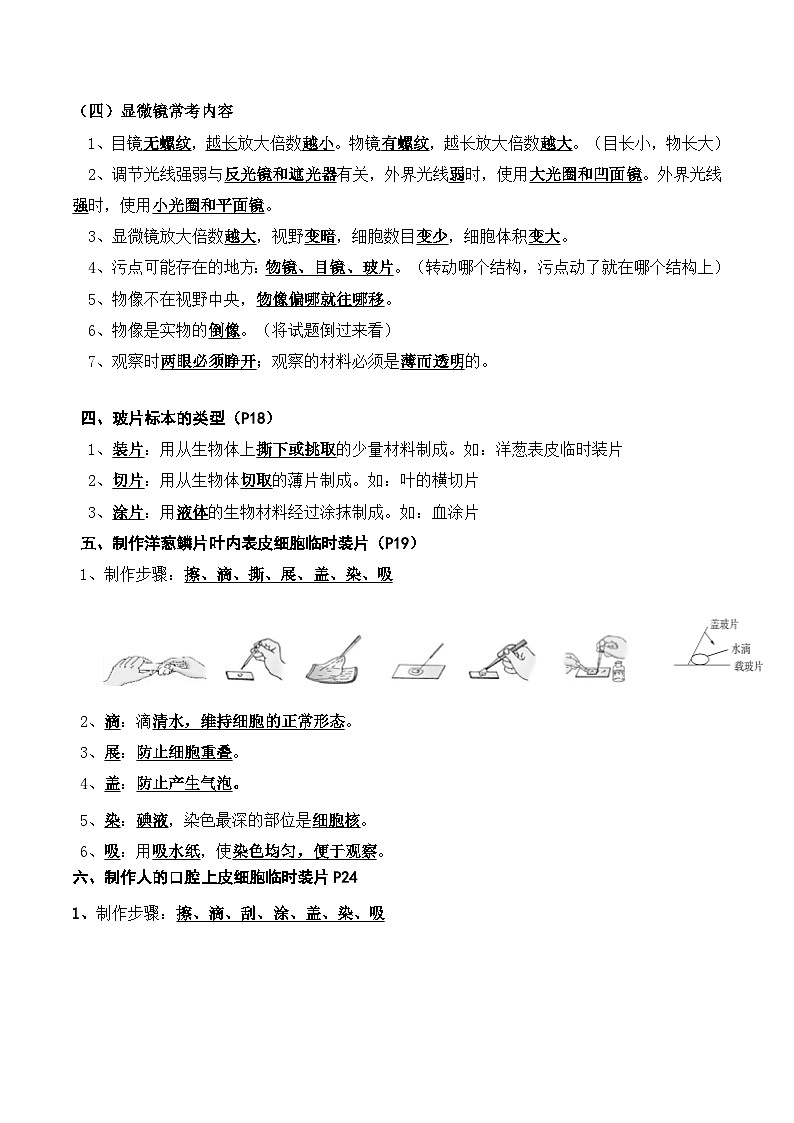 人教版（2024新版）七年级上册生物期末复习考点背诵提纲 讲义03