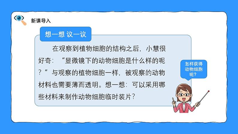 人教版生物（2024）七年级上册第一单元生物和细胞第二章认识细胞第三节动物细胞 课件07