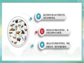 人教版（2024）生物七上：1.1.2 生物的特征（课件+教案）