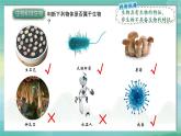 人教版（2024）生物七上：1.1.2 生物的特征（课件+教案）