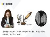人教版（2024）生物七上：1.2.1 学习使用显微镜（课件+教案）