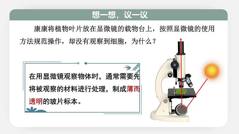 人教版（2024）生物七上：1.2.2 植物细胞（课件+教案）03