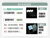 人教版（2024）生物七上：1.2.2 植物细胞（课件+教案）