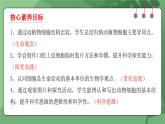 人教版（2024）生物七上：1.2.3 动物细胞（课件+教案）
