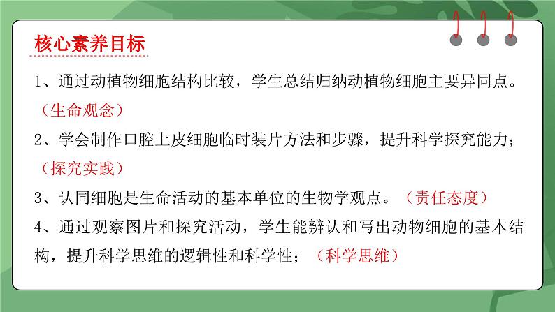 人教版（2024）生物七上：1.2.3 动物细胞（课件+教案）02