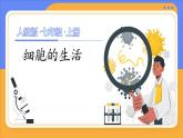 人教版（2024）生物七上：1.2.4 细胞的生活（课件+教案）