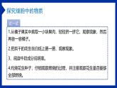 人教版（2024）生物七上：1.2.4 细胞的生活（课件+教案）