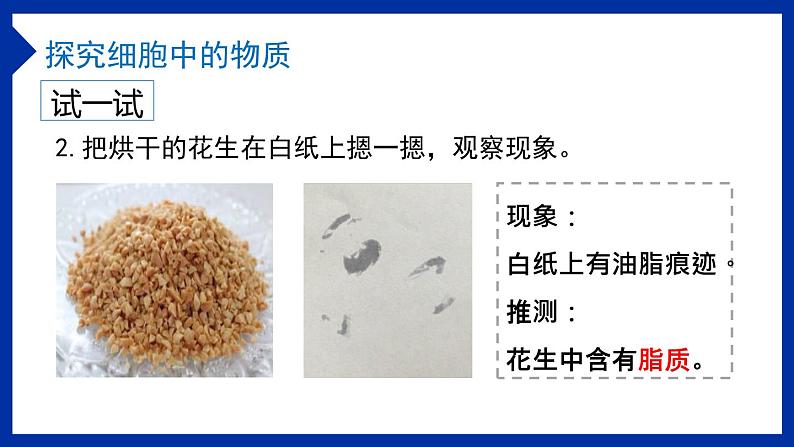 1.2.4 细胞的生活-课件第6页