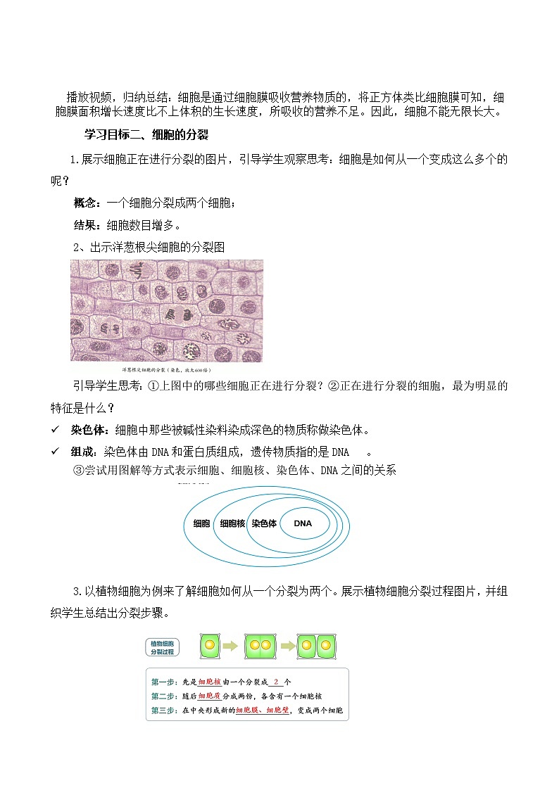 人教版（2024）生物七上：1.3.1 细胞通过分裂产生新细胞（课件+教案）02