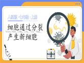 人教版（2024）生物七上：1.3.1 细胞通过分裂产生新细胞（课件+教案）