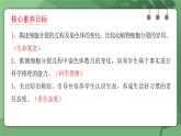 人教版（2024）生物七上：1.3.1 细胞通过分裂产生新细胞（课件+教案）