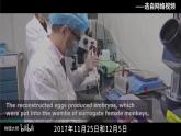 人教版（2024）生物七上：1.3.1 细胞通过分裂产生新细胞（课件+教案）