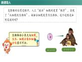 人教版（2024）生物七上：1.3.1 细胞通过分裂产生新细胞（课件+教案）
