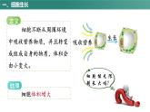 人教版（2024）生物七上：1.3.1 细胞通过分裂产生新细胞（课件+教案）