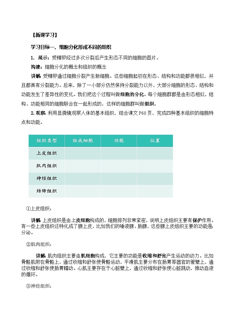 人教版（2024）生物七上：1.3.2 动物体的结构层次（课件+教案）02