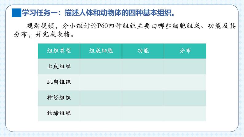 人教版（2024）生物七上：1.3.2 动物体的结构层次（课件+教案）08