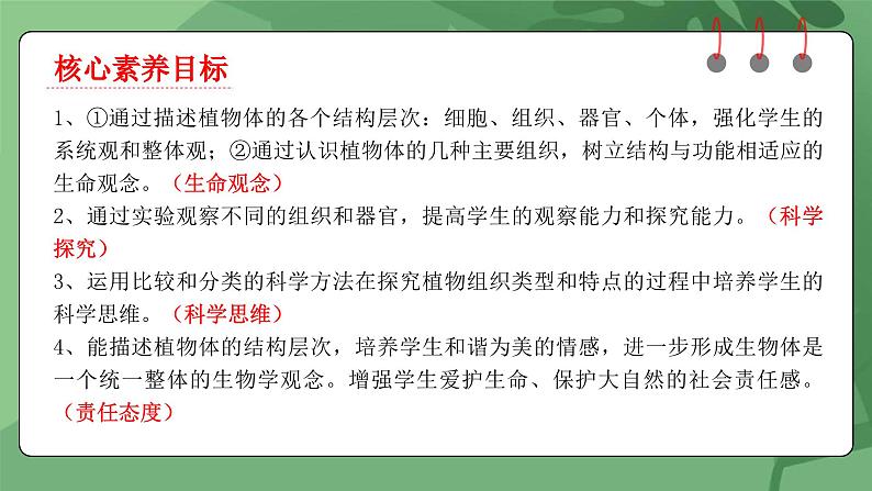 人教版（2024）生物七上：1.3.3 植物体的结构层次（课件+教案）02