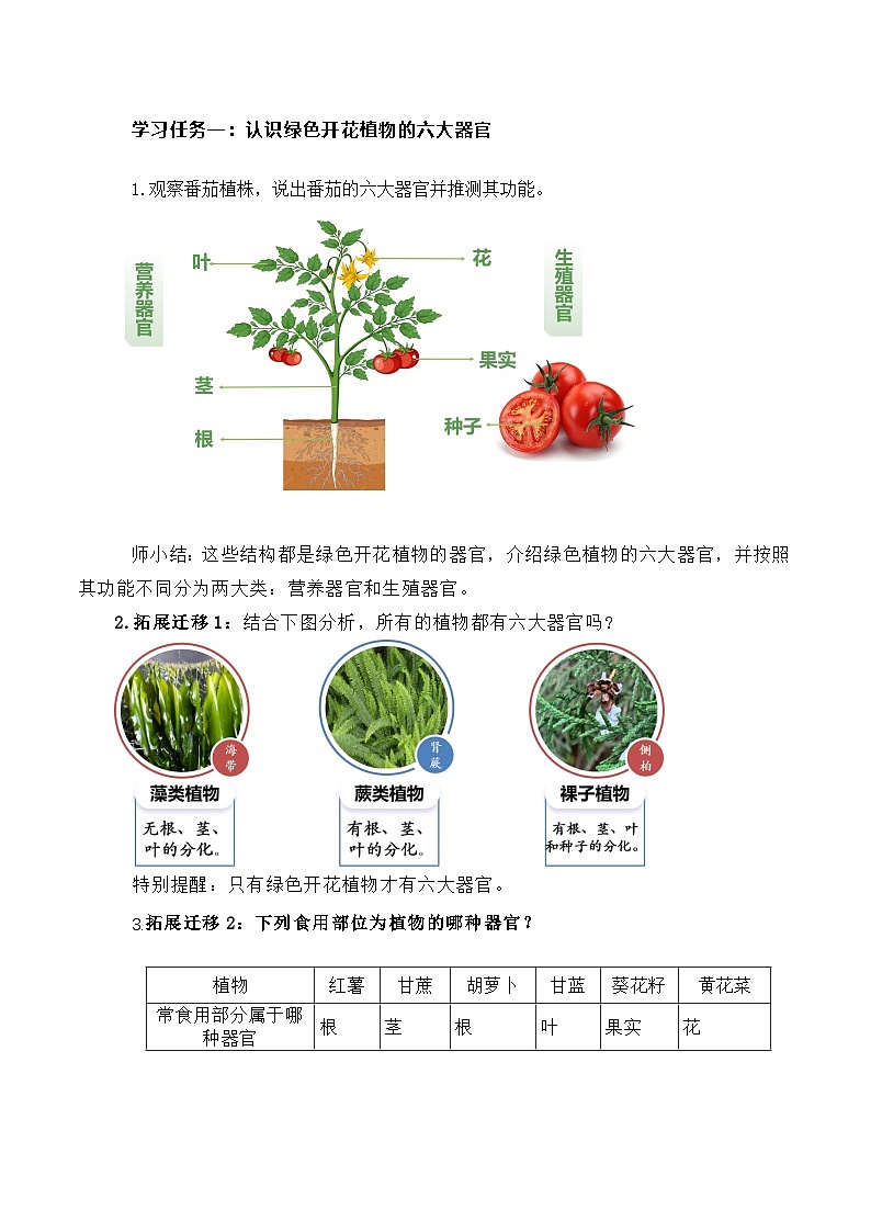 人教版（2024）生物七上：1.3.3 植物体的结构层次（课件+教案）02