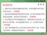 人教版（2024）生物七上：1.3.4 单细胞生物（课件+教案）