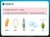 人教版（2024）生物七上：1.3.4 单细胞生物（课件+教案）