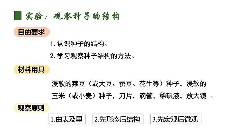 人教版（2024）生物七上：2.1.2 种子植物（课件+教案）06