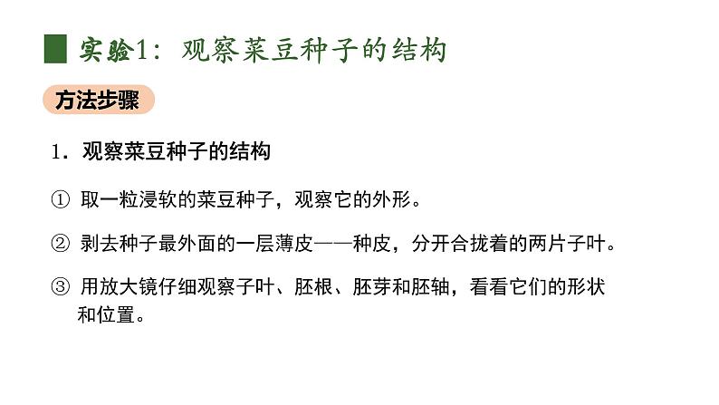 人教版（2024）生物七上：2.1.2 种子植物（课件+教案）07