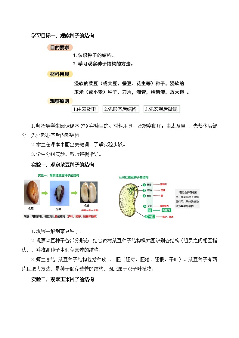 人教版（2024）生物七上：2.1.2 种子植物（课件+教案）02