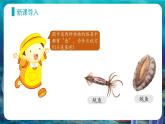 人教版（2024）生物七上：2.2.1 无脊椎动物（课件）