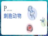 人教版（2024）生物七上：2.2.1 无脊椎动物（课件）