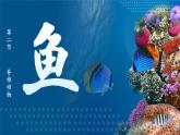 人教版（2024）生物七上：2.2.2 鱼（课件）