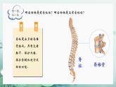 人教版（2024）生物七上：2.2.2 鱼（课件）